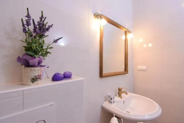 Villa Rose Višnjan Chorwacja