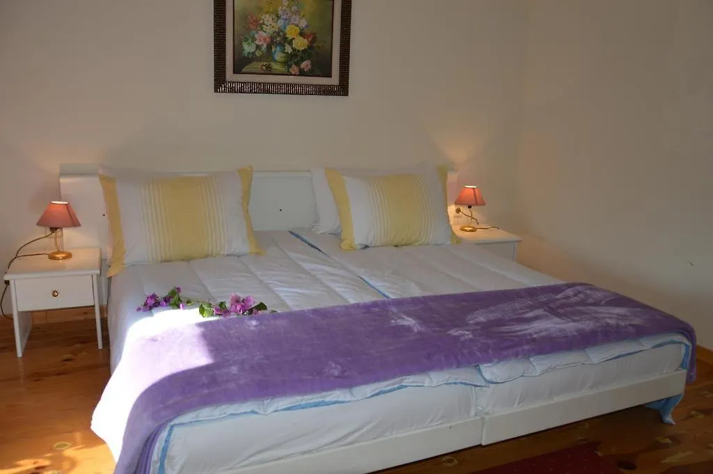 Villa Rose Visnjan Croatia